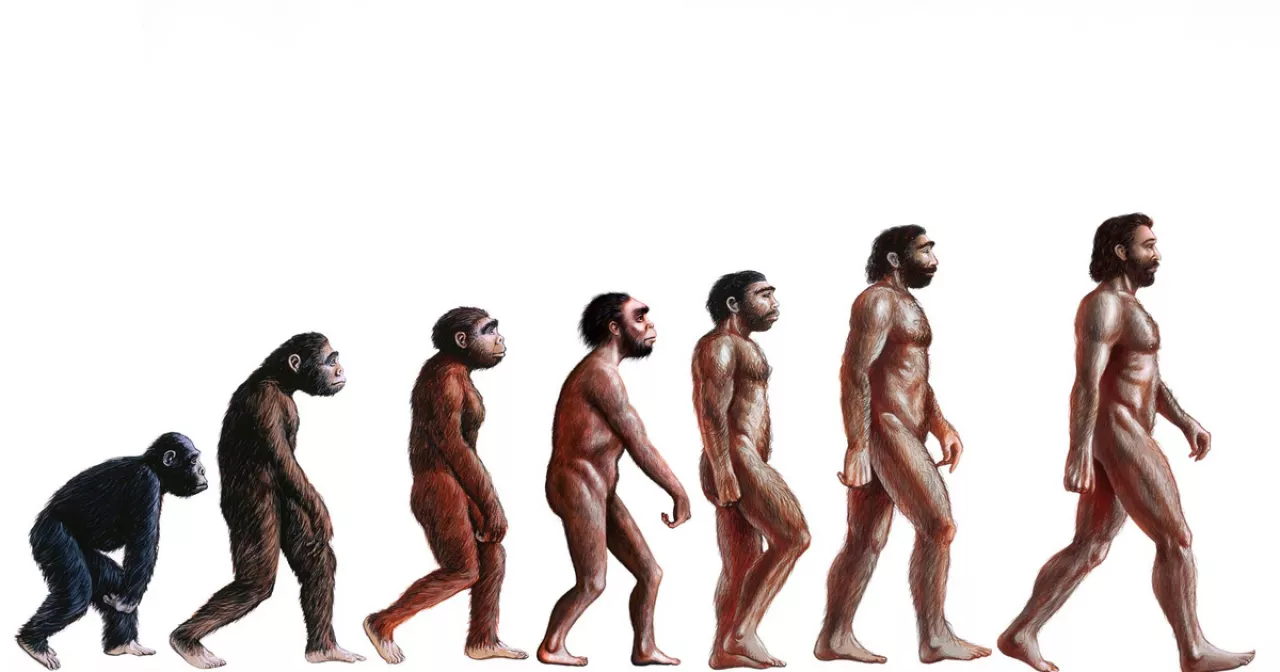 Жас қыздармен геек порно секс видео Волосатые письки бар онлайн секс