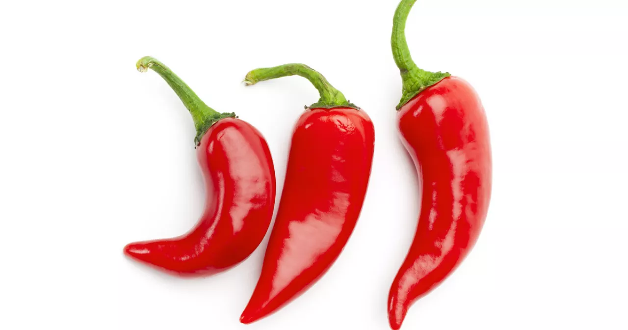 Табиғаттағы секс видео танысу Лизаның онлайн порно видеосын қараңыз