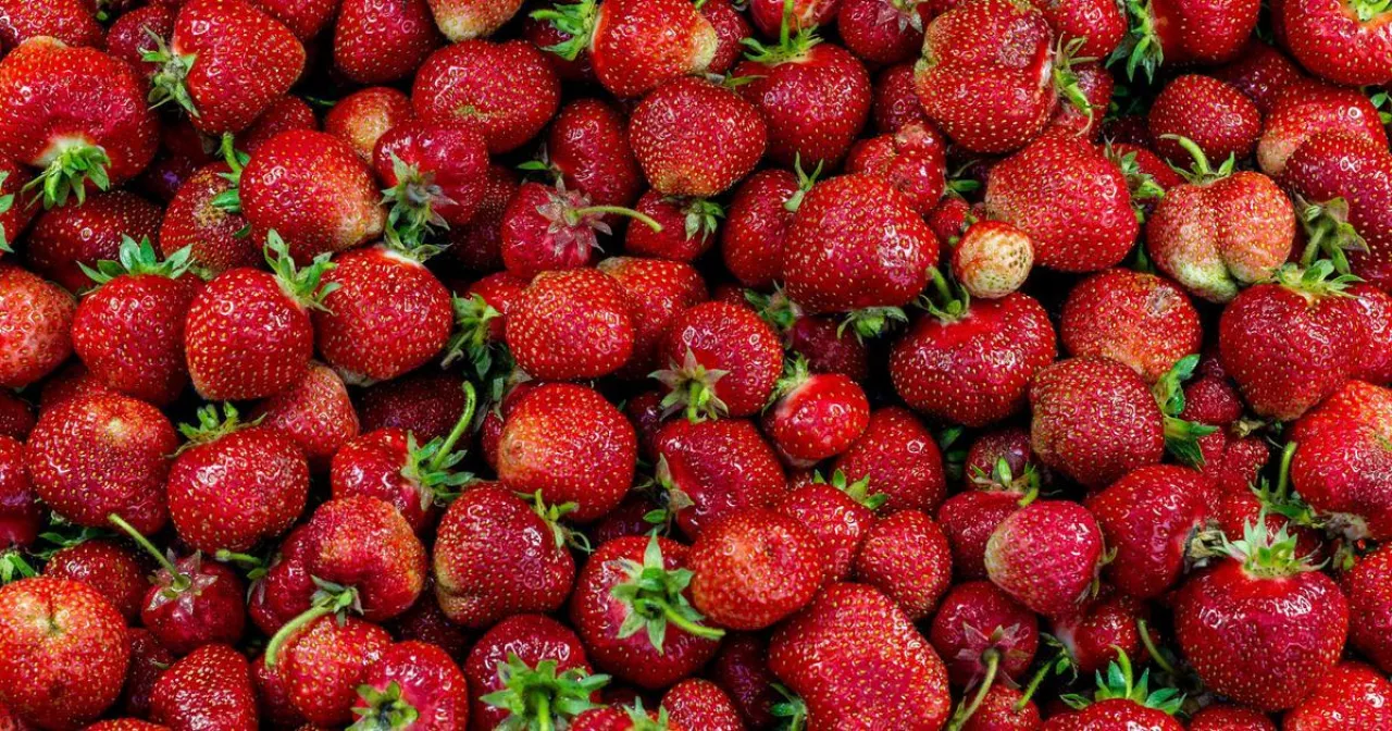 Порнографиялық қызметші қожайынының әйелін сиқырлап жатқанын көрді. Порно орыс тентек қыздар