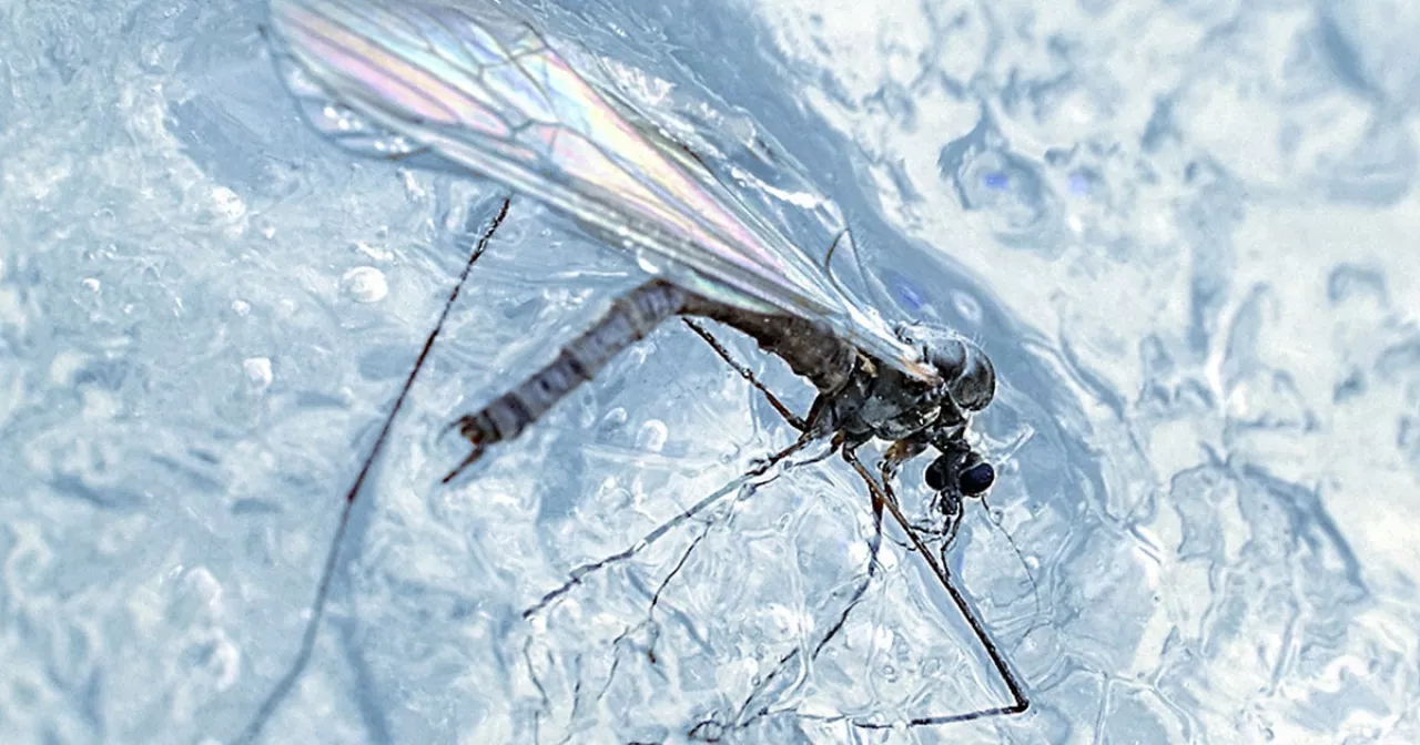 Телефондардағы орысша порно фотолар Ольга Ржевская ххх