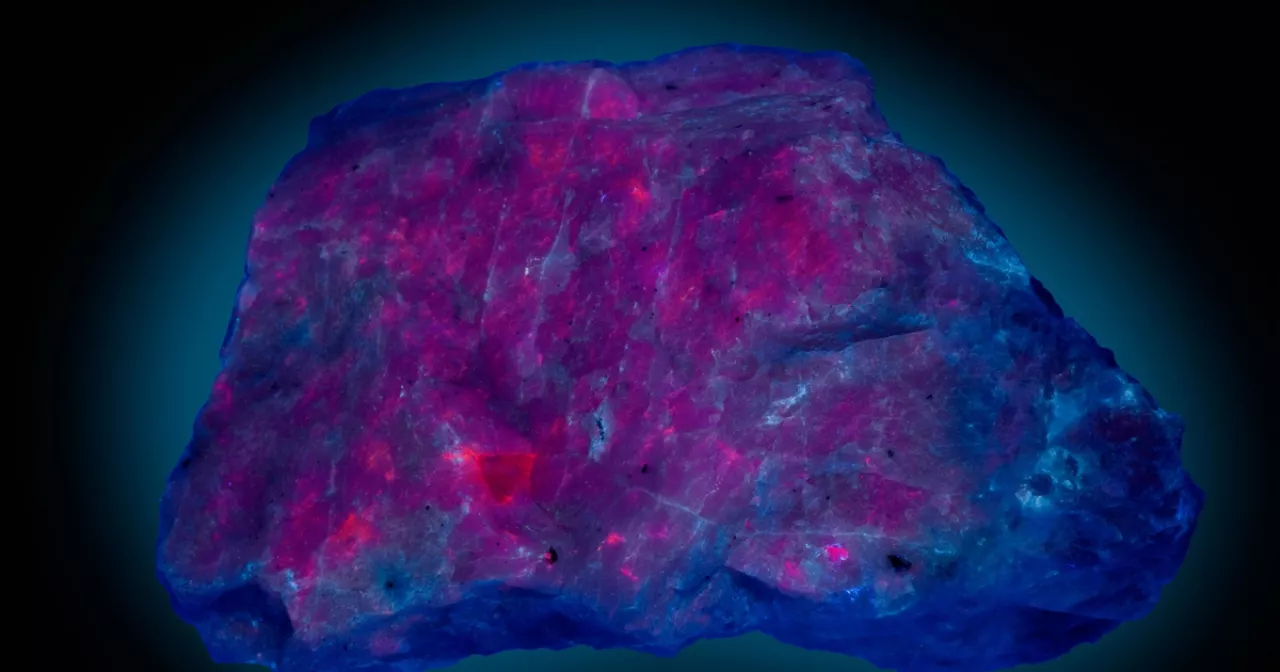 Қара әйелдердің кеудесі бар порно