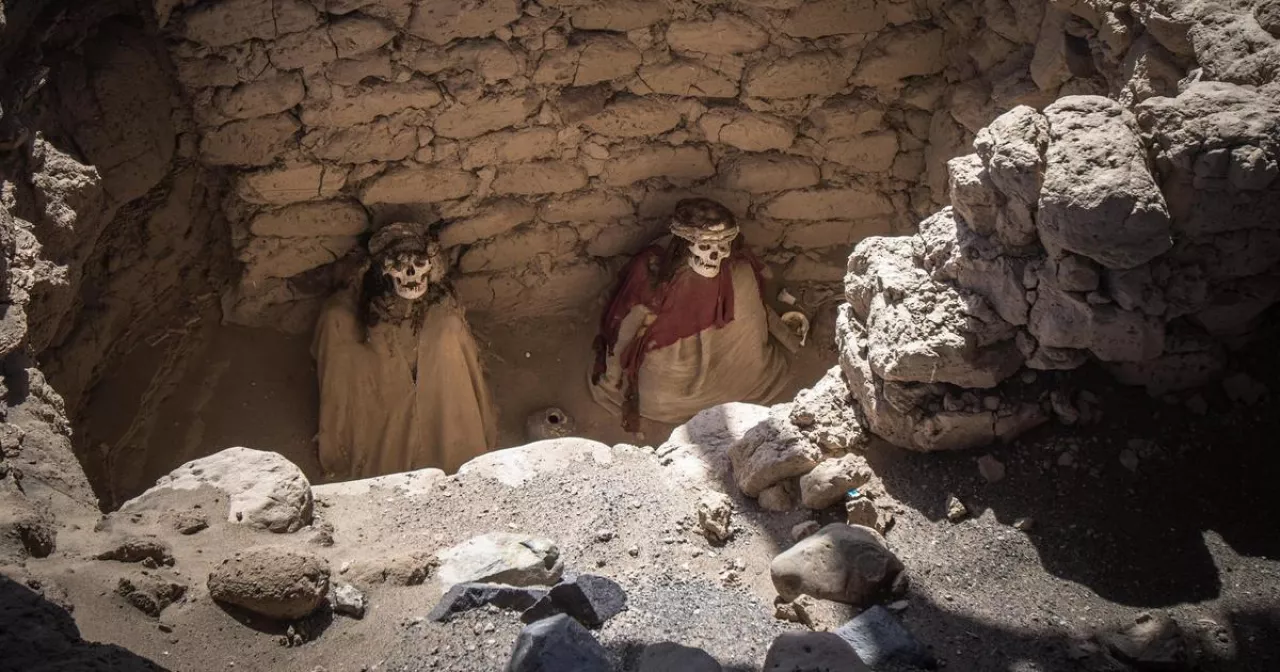 Жалаңаш әйелдердің аяқтарын жайыңыз