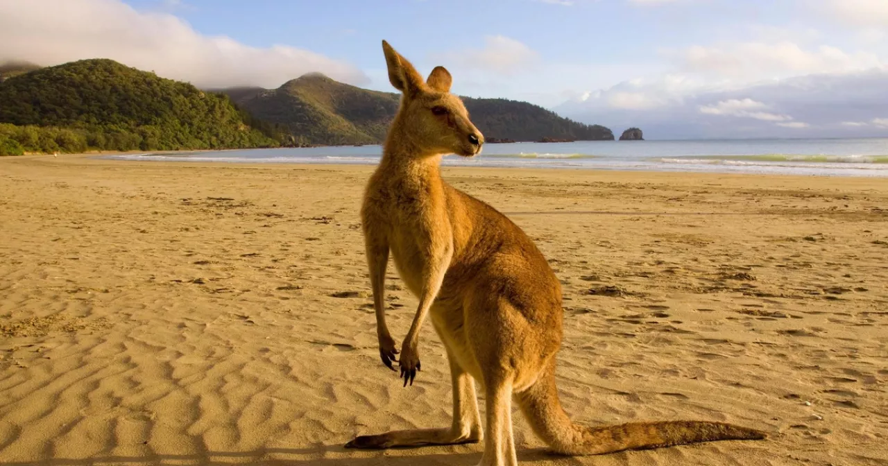 Дженнифер Энистонмен эротикалық көріністерді қараңыз.