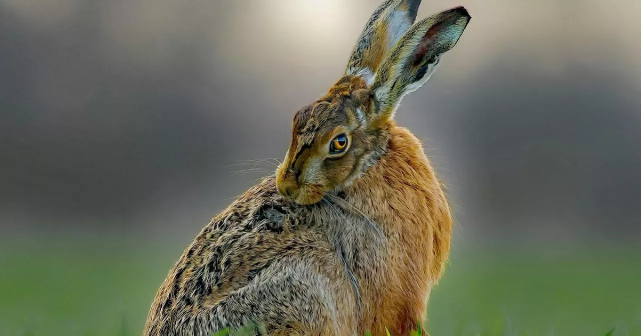 Порно видео әйел қызы