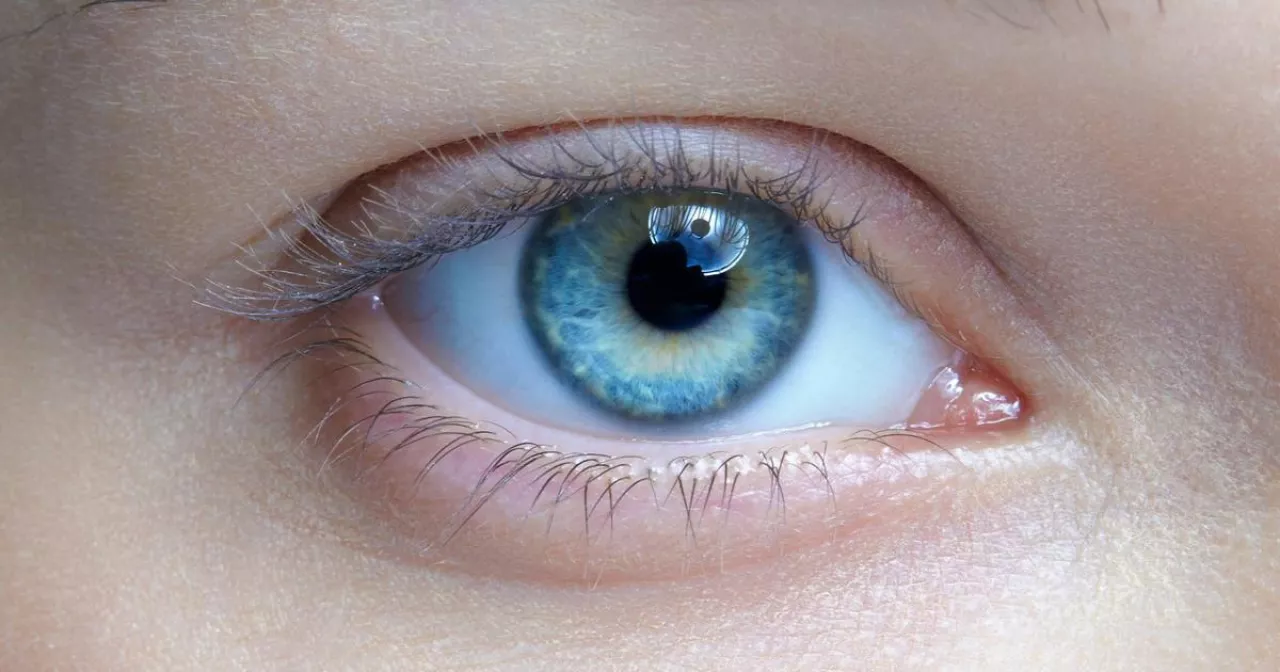 Ананың эротикалық суреттері