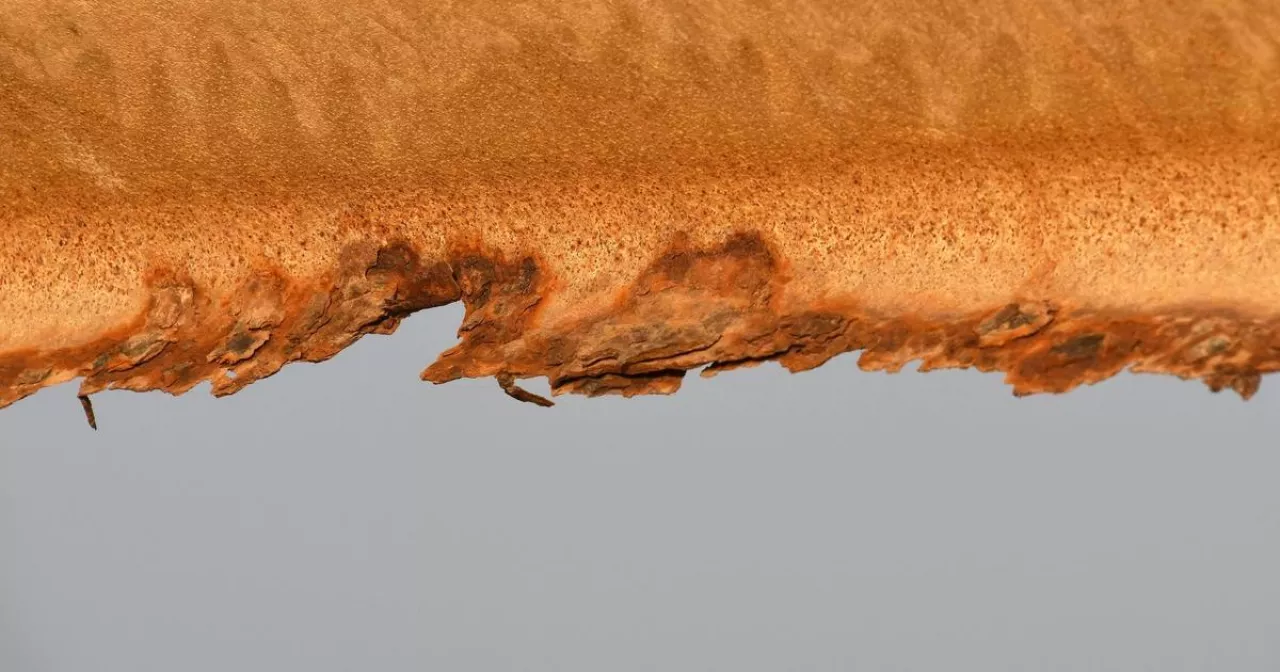 Жалаңаш Настя Каменских жалған