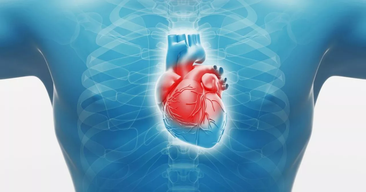 Орыс милф жекеменшік Автобустардағы жүкті әйелдер бейнеленген порно видео