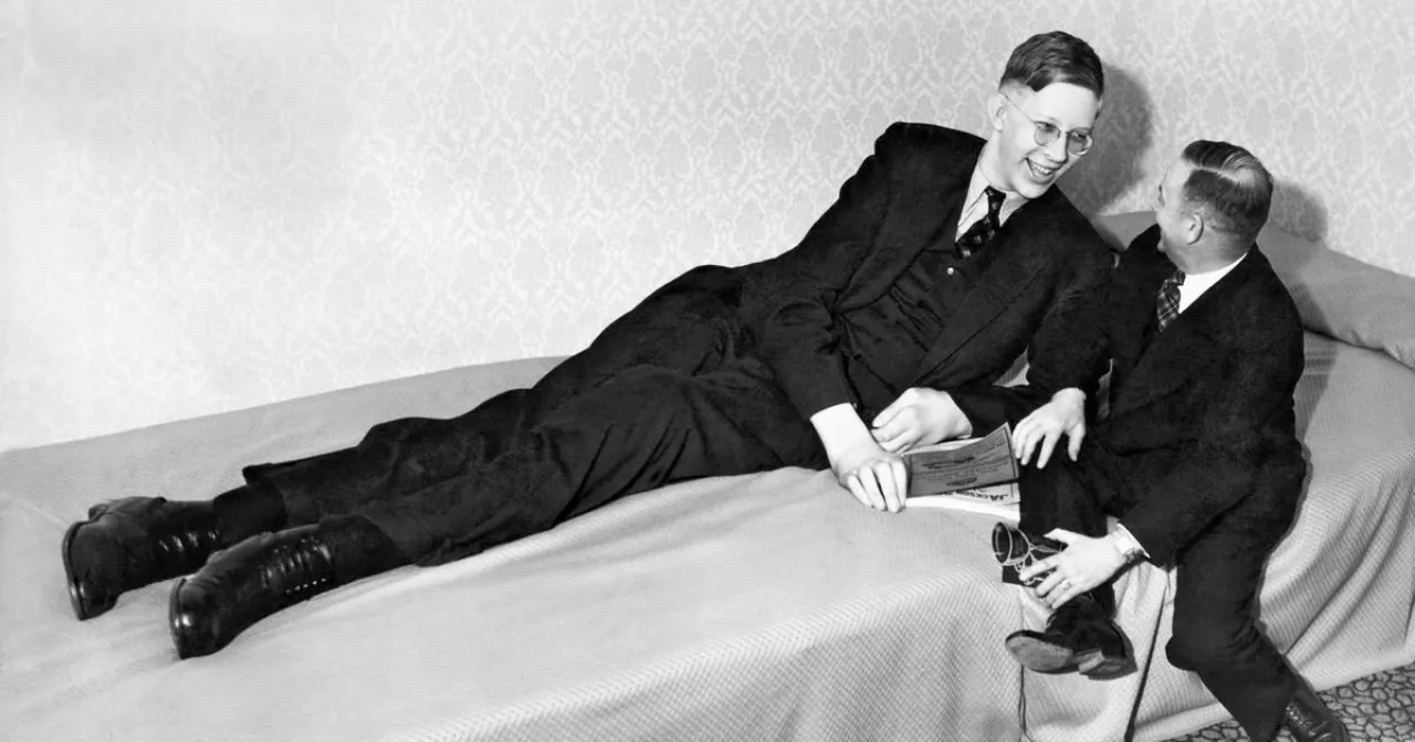 Дарвиллдегі балалар өрмекшіге жыныстық қатынас туралы