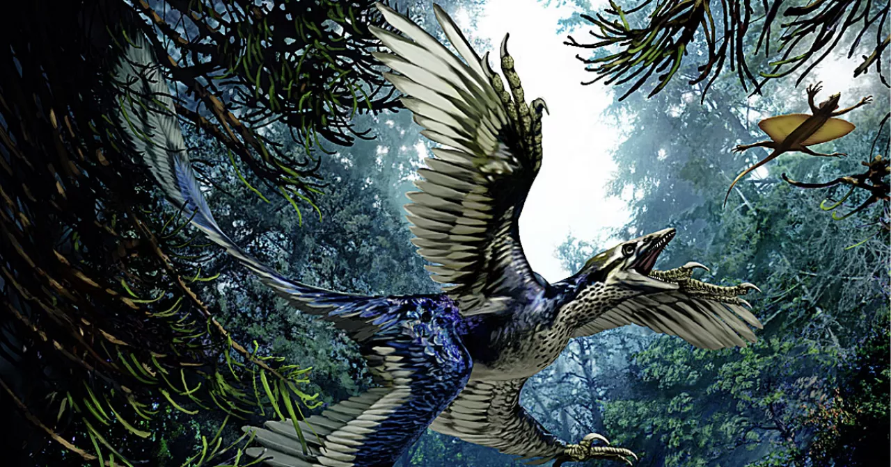 Орысские видео девушки ебля