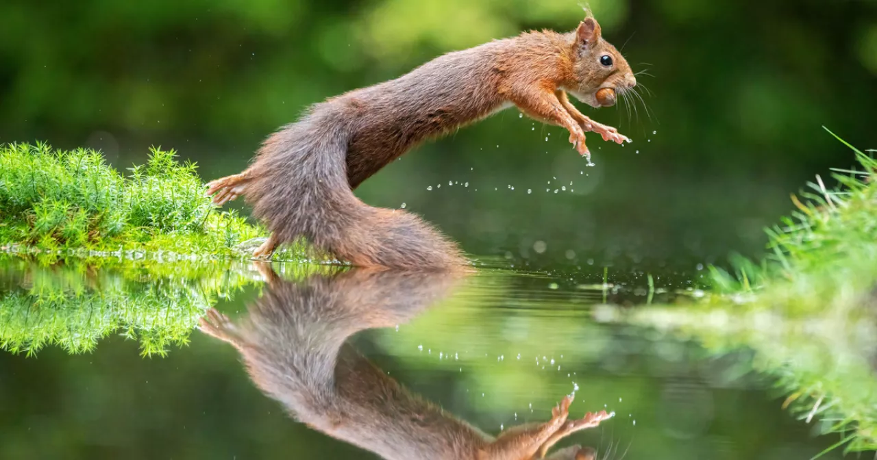 Ана мен бала порно