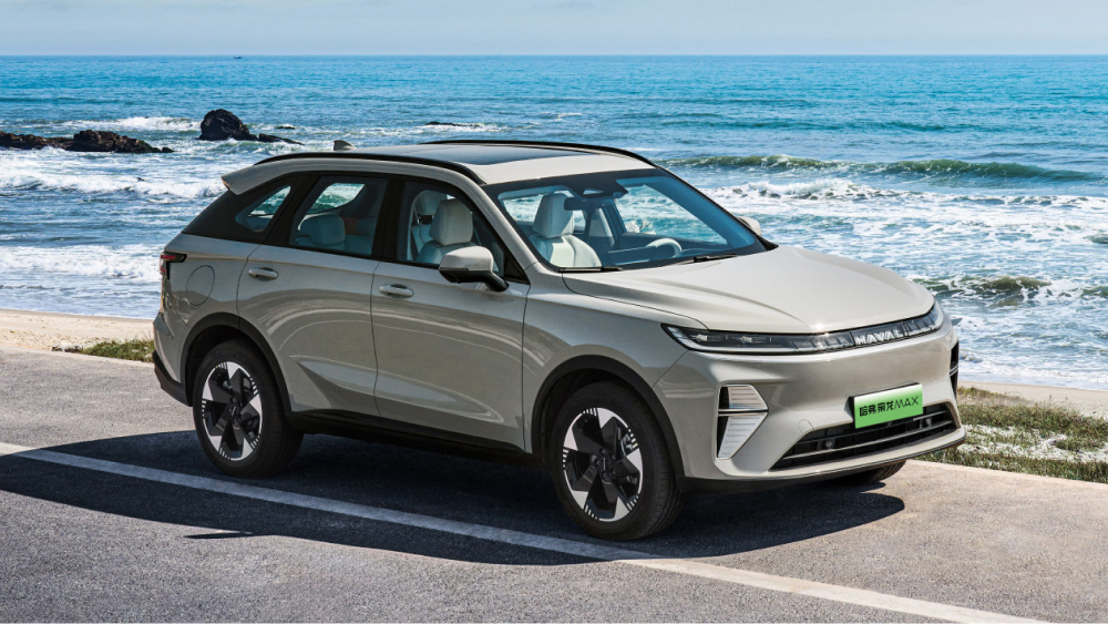 Haval F8 II буыны