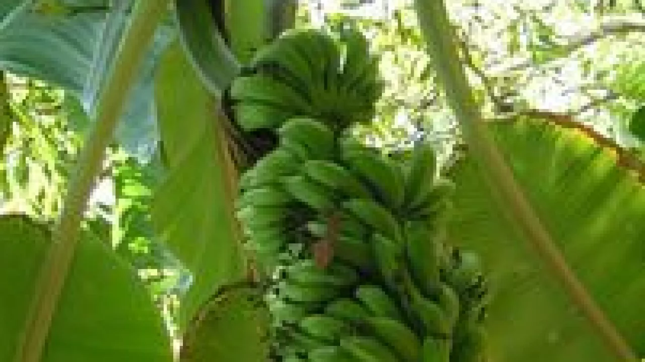 Орыс аналарымен порно Орысша фильмдер